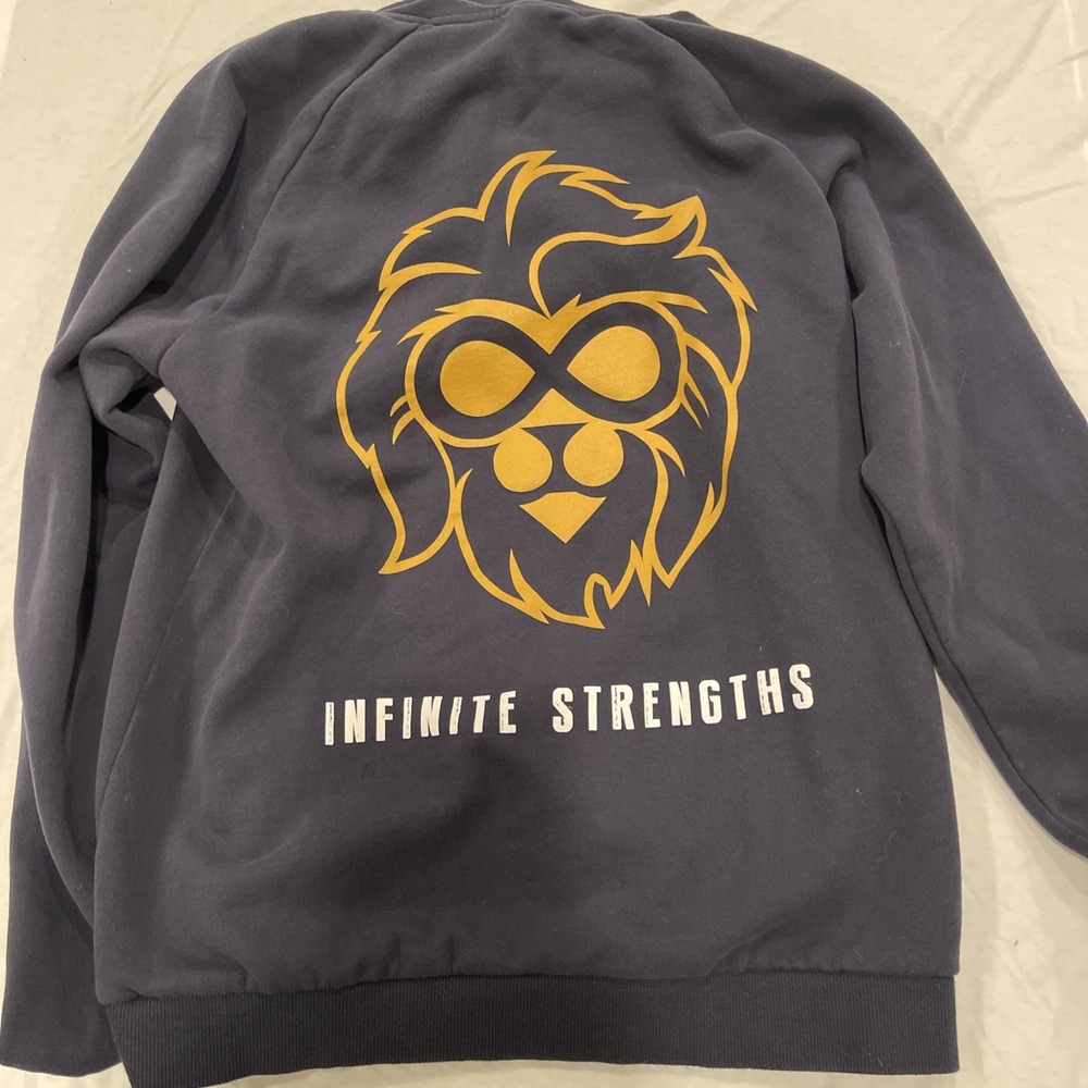 Oversized Graphic Hoodie District "Infinite Strengths" Lion Logo Gorpcore Style - Picture 2 of 8